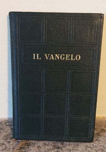 Libro vangelo tradotto dal - tradotto,